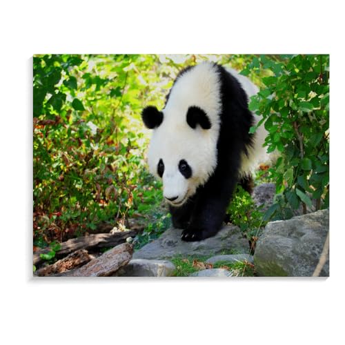 Puzzle Für Erwachsene Und Kinder, 500 Teile, Panda, Pädagogisches, Intellektuelles, Entspannendes Spiel, Holzpuzzle, Puzzles Für Kinder Im Alter Von 8–12 Jahren (52 × 38 cm) von MIDUNU