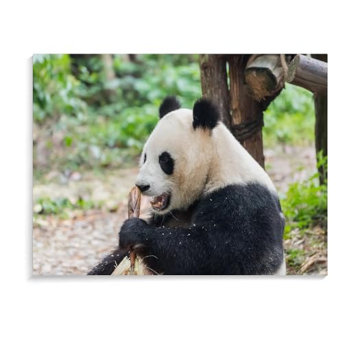 Puzzle Für Erwachsene Und Kinder, 500 Teile, Panda, Pädagogisches, Intellektuelles, Entspannendes Spiel, Holzpuzzle, Puzzles Für Kinder Im Alter Von 8–12 Jahren (52 × 38 cm) von MIDUNU