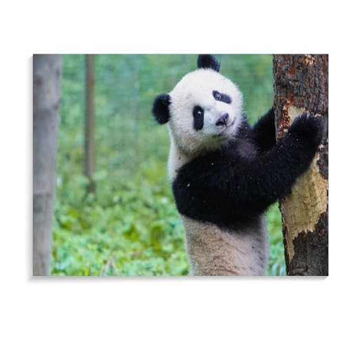 Puzzles Für Kinder Panda-Puzzles Für Erwachsene 500 Teile Kinderpädagogisches Holzpuzzle Zusammenbauen Spielzeug Geschenke (52 × 38 cm) von MIDUNU