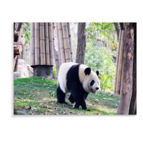 Puzzles Für Kinder Panda-Puzzles Für Erwachsene 500 Teile Kinderpädagogisches Holzpuzzle Zusammenbauen Spielzeug Geschenke (52 × 38 cm) von MIDUNU