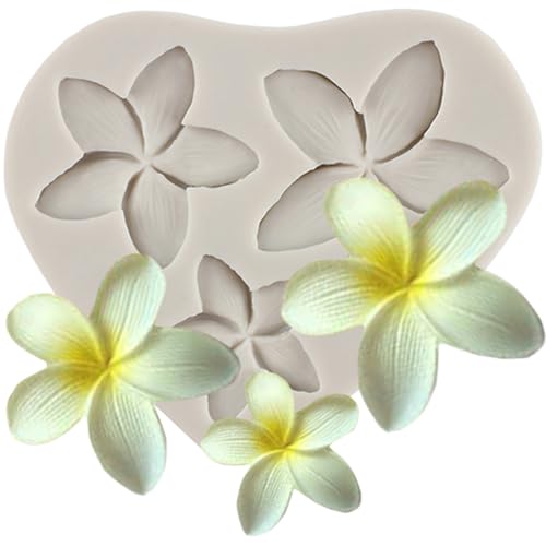 MINFEIDMS Frangipani Plumeria Blume Floral Silikon Fondant Form für Kuchen Dekoration Cupcake Topper Süßigkeiten Schokolade Gummipaste Polymer Clay von MINFEIDMS