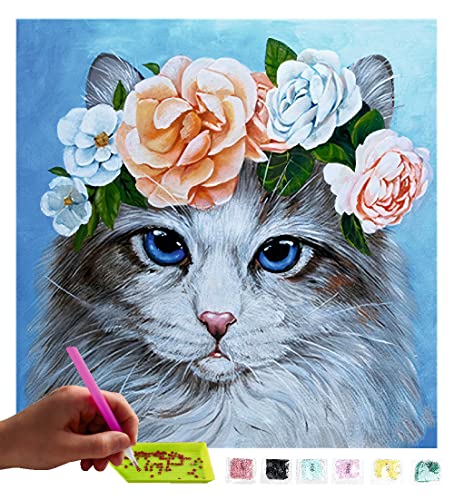 MISHBAY Diamond Painting Katze - 30x30cm Diamond Painting Katzen Erwachsene - Diamant Painting Bilder Katze - DIY 5D Satz Wand Dekor Diamantstickerei von MISHBAY