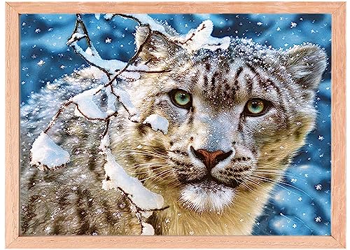 MISHBAY Diamond Painting - Schneeleopard 30x40cm Diamond Painting Erwachsene - Diamant Painting Bilder mit Rahmen - DIY 5D Satz Wand Dekor Diamantstickerei Löwen von MISHBAY