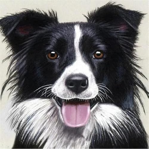 MKANLKX 5D DIY Diamond Painting, Cute Dog Diamond Mosaic Picture, Full Round Drill Handwork Embroidery Kits 40X40Cm von MKANLKX