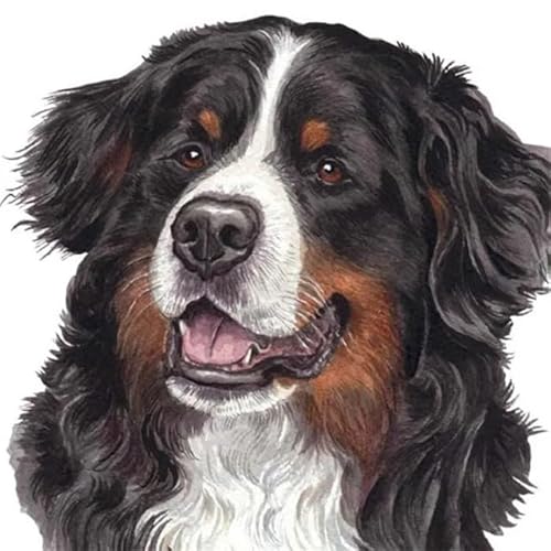 MKANLKX 5D DIY Diamond Painting, Cute Dog Diamond Mosaic Picture, Full Round Drill Handwork Embroidery Kits A2 40X40Cm von MKANLKX