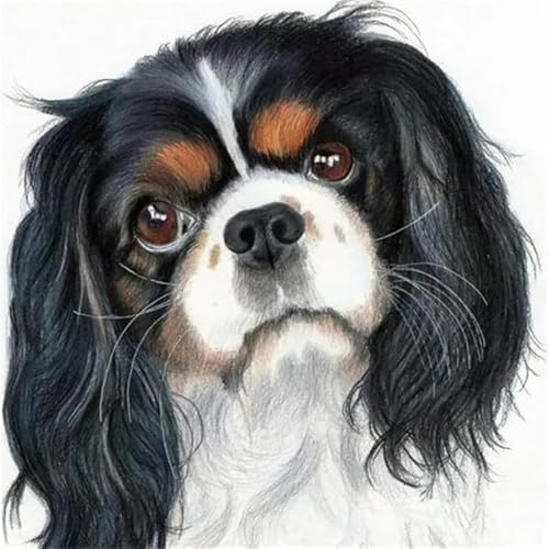 MKANLKX Full Round DIY 5D Diamond Painting Kit Cute Dog for Handmade Home Decor A3 40X40Cm von MKANLKX