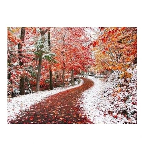 MKANLKX Full Round Diamond 5D DIY Diamond Painting Autumn Landscape Embroidery Cross Stitch Rhinestone Mosaic Painting Decor 40X50Cm von MKANLKX