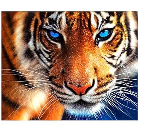 MKANLKX Full Round Diamond 5D DIY Diamond Painting Tiger Embroidery Cross Stitch Rhinestone Mosaic Painting Decor Gift 40X50Cm von MKANLKX