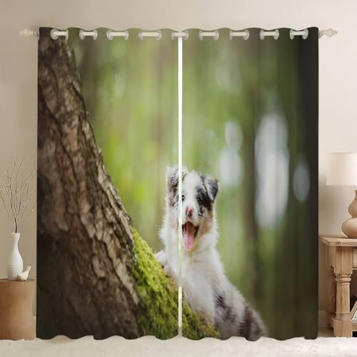 MLUNKQAIL Verdunklungsvorhänge SchäFerhund Vorhänge Blickdicht Baum Gardinen mit Ösen Wärmedämmvorhang Verdunklungsdekoschal Gardinen Wohnzimmer 2Er Set 100X160cm (BxH) von MLUNKQAIL