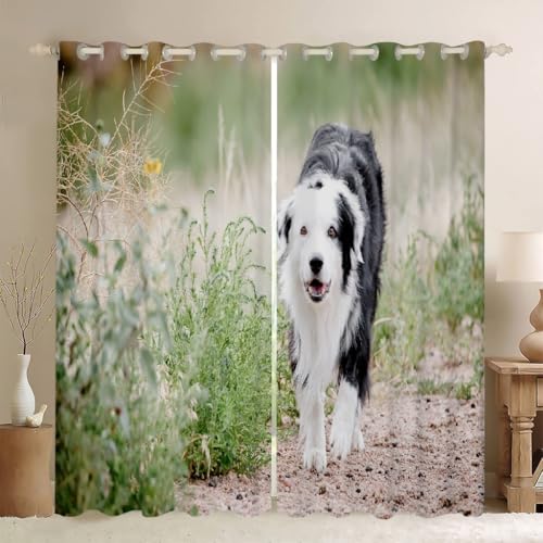 MLUNKQAIL Verdunklungsvorhänge SchäFerhund Vorhänge Blickdicht GrüN Gardinen mit Ösen Wärmedämmvorhang Verdunklungsdekoschal Gardinen Wohnzimmer 2Er Set 100X160cm (BxH) von MLUNKQAIL