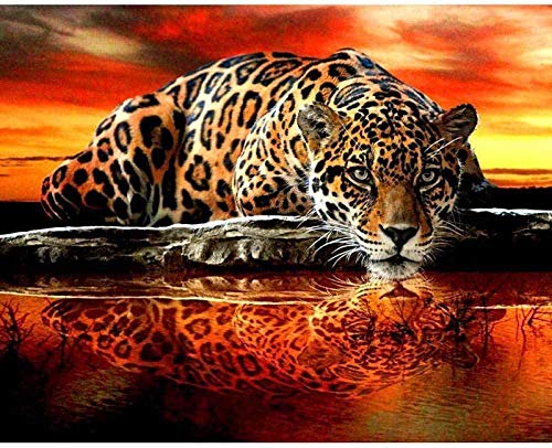 Kreuzstich Stickpackungen Vorgedruckt Anfänger Leopard-Trinkwasser bei Sonnenuntergang 11CT Stamped Cross Stitch Pre-Printed Pattern Stickerei DIY Kinder Erwachsene Home Decoration 40x50cm von MLZSMYXGS