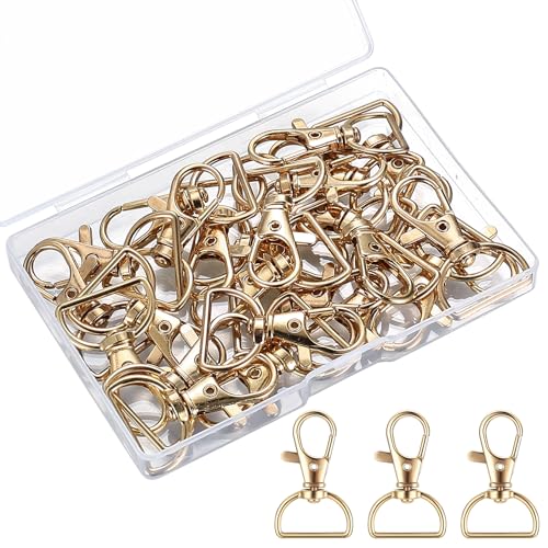 25 Stück Golden Karabiner Schlüsselanhänger Karabinerhaken Schlüsselanhänger mit Karabinerverschluss, Karabinerhaken mit Drehgelenk D-Ring Schlüsselringe für Taschen DIY Handwerk Makramee Zubehör. von MMDBD