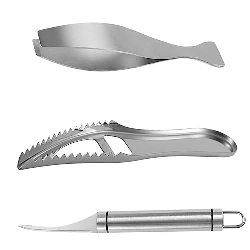 MOLUCKFU 1 Satz Fischschuppenhobel aus Edelstahl Küchengerät Reinigungsbürste für Fischschuppen fischschuppenmesser Fish Scale Knife pinzette Gadget Gerät zum Schaben von Fischen Entkalker von MOLUCKFU