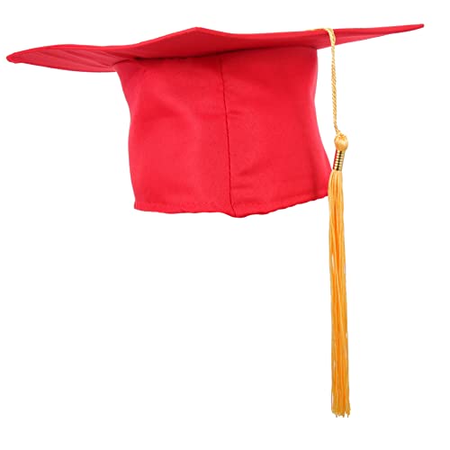 MOLUCKFU DIY Abschlusshut Kostümzubehör Graduation Cap Mit Basteltuch Abschlusskappe Für Bachelor Abschluss Universitätsabsolventen 2024 Mit Quaste Und Schärpe von MOLUCKFU