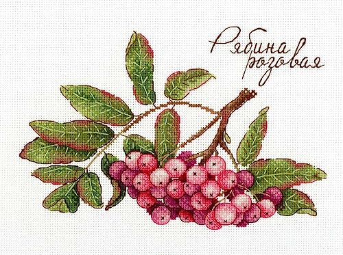 MP Studia Kreuzstich-Stickset für Erwachsene und Anfänger, Beeren – Geschenke der Natur – Rosa Eberesche 15 x 20 cm / 5,91 x 7,87 18 ct von MP Studia