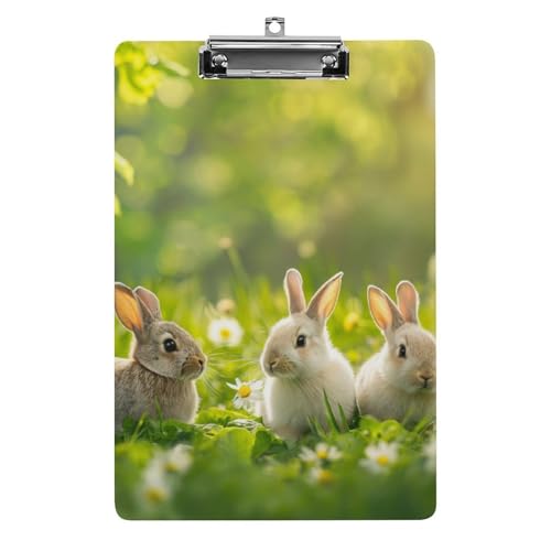 Acryl Klemmbretter Niedliche Kaninchen Ostern Hase Gras Office File Folders Platte Klemmbrett Für Das Schreiben Malerei von MQSSYOA