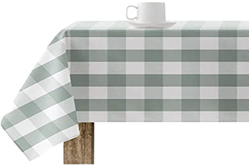 BELUM | Harz-Tischdecke, schmutzabweisend, Gemälde 0120-104, Tischdecke Plaid Vichy Größe; 200 x 140 cm, Tischdecke fleckenabweisend, ohne Gummi, Tischdecke Vichy Mint, Tischdeckenstoff 100% von BL BELUM