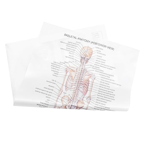 MUCKLILY Menschliches Anatomie -Poster Dekorationen ästhetisch Lehre gotisch Wand Muskel Poster aus Kraftpapier dekoratives Plakat Bar-Plakat Parteiplakat Seidentuch Weiß MUCKLILY Menschliches Anatomie -Poster Dekorationen ästhetisch Lehre gotisch Wand Muskel Poster aus Kraftpapier dekoratives Plakat Bar-Plakat Parteiplakat Seidentuch Weiß von MUCKLILY