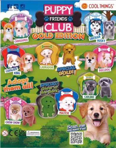 MVS Wholesale 10er-Pack Puppy Club The Gold Edition, jeder Überraschungsball enthält 1 Welpen und 1 Welpenzwinger-Dose mit 8 zum Suchen und Sammeln. Ideal als Partytütenfüller oder zum Befüllen von MVS Wholesale