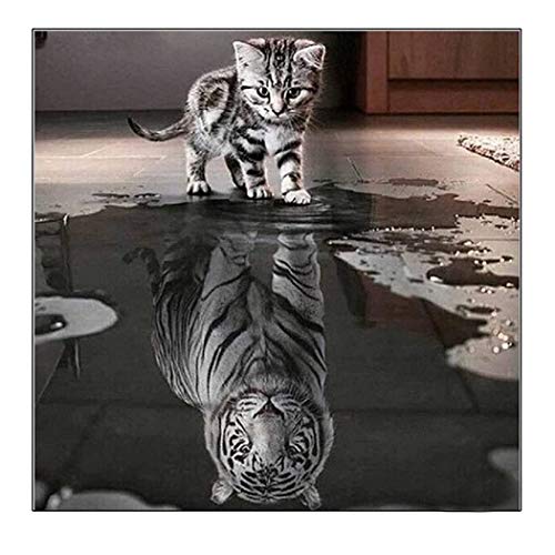 MWOOT DIY 5D Diamant Malerei Kit,Full Diamond Pasted Painting Voller Stickerei Malerei für Home Wanddekoration (30x30cm)-Katze und Tiger von MWOOT