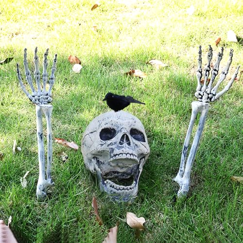 MXJFYY Halloween Deko Skelett, Crow Schädel Set, Realistische Gruseliger Skeleton für Halloween Dekorationen Gartendekorationen Friedhofsdekorationen von MXJFYY