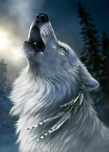 MXJSUA Diamond Painting Erwachsene Wolf 5D Diamant Painting Bilder Erwachsene Wolf Diamond Painting Wolf Diamond Painting Bilder Set Wolf Diamond Painting-Wolf in der Nacht Diamant Malerei 30X40 CM von MXJSUA