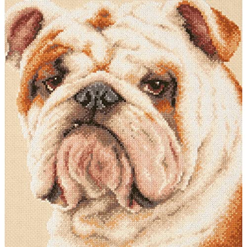 Magic Needle 59-21 ZW Bulldogge Kreuzstichset mit Zählmuster Zweigart Edition, Baumwolle, multifarbig, 25x25cm von Magic Needle