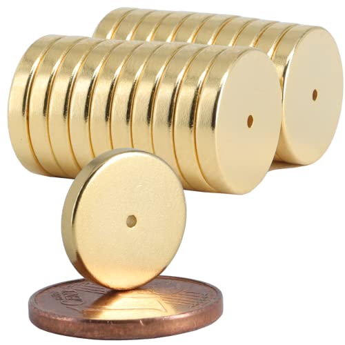 20 Stück Neodym Magnet Mini Ringmagnete Mit Loch Bohrung 1mm Ringmagnet 12mm x 2mm Scheiben Magnete Stark - Flach Rund -Gold Stark von Magnet-Kauf