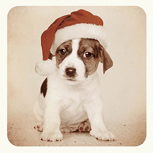 Weihnachtskarte - Xmas Hat - Jack Russell Welpe - Sepia von Magnet & Steel Weihnachten