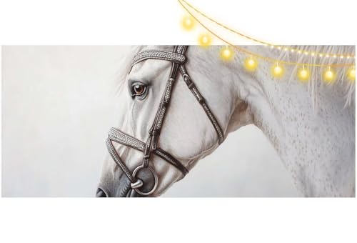 Diamond Painting Pferd Diamond Painting Groß XXL 100x50 cm, 5D Diamant Painting Bilder Tier Malen Nach Zahlen Erwachsene Basteln Crystal Art Stickerei Malerei Kit, Home Decor Geschenk für Mädchen m537 von Mailielie