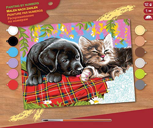 MAMMUT 8241107 - Malen nach Zahlen Senior, Hund und Katze, Komplettset mit bedruckter Malvorlage im A3 Format, 12 Acrylfarben, Pinsel und Anleitung, großes Malset ab 10 Jahre von Mammut Spiel & Geschenk