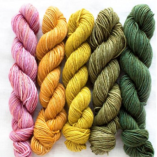 Manos del Uruguay Silk Blend Fino Minis Set Fb. Dorothea, 100g (5x20g) Merino extrafine + Seide, handgefärbt mit wunderschönem Farbverlauf, Wolle mit Seide zum Stricken von Manos del Uruguay Silk Blend