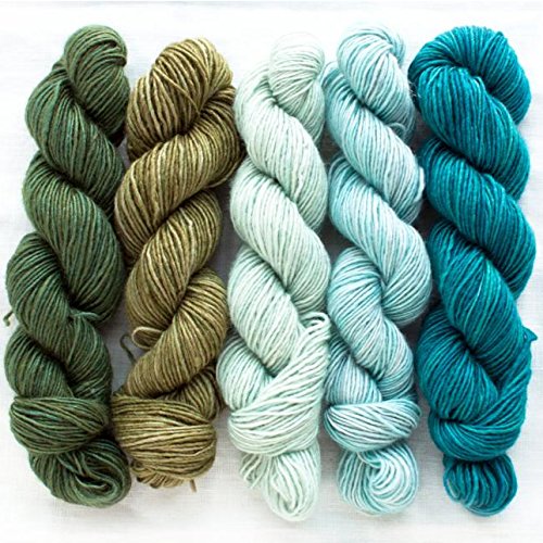 Manos del Uruguay Silk Blend Fino Minis Set Fb. Flora, 100g (5x20g) Merino extrafine + Seide, handgefärbt mit wunderschönem Farbverlauf, Wolle mit Seide zum Stricken von Manos del Uruguay