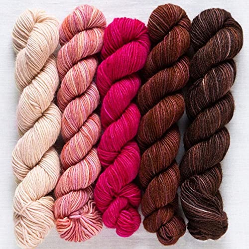 Manos del Uruguay Silk Blend Fino Minis Set Maud, 100g (5x20g) Wolle mit Seide zum Stricken, Merino extrafine + Seide, handgefärbt mit wunderschönem Farbverlauf von Manos del Uruguay