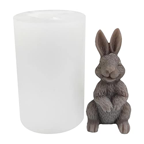 Ostern Silikonform Kaninchen 3D Osterhase Kerzenformen Seifenform Silikon Gießform Mousse Kuchenform für DIY3D Hase Kerzen, Ostern Geschenke Kinder von Maseaxi