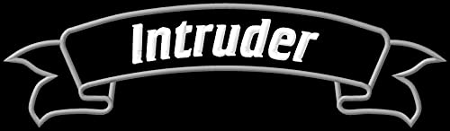 Masterpatch Suz Intruder Rocker XL Banner Patch für Suzuki Intruder Bikers VS 800 1400 Chopper Motorrad Motobike Motorrad Aufnäher Parche Bordado Brodé Patch écusson von Masterpatch