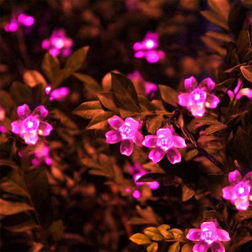 Mateju LED Lichterkette Außen Solar, Solar Lichterkette Aussen mit Fernbedienung 8 Modi Outdoor Solarlichterkette für Innen, Garten, Terrasse, Balkon, Hochzeit, Blumen (Rosa,22M/200LED) von Mateju