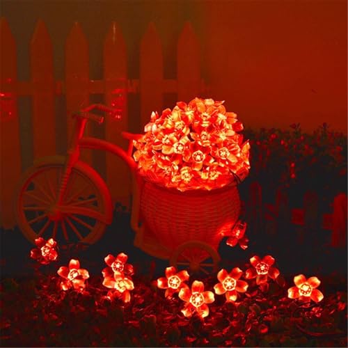 Mateju LED Lichterkette Außen Solar, Solar Lichterkette Aussen mit Fernbedienung 8 Modi Outdoor Solarlichterkette für Innen, Garten, Terrasse, Balkon, Hochzeit, Blumen (Rot,22M/200LED) von Mateju