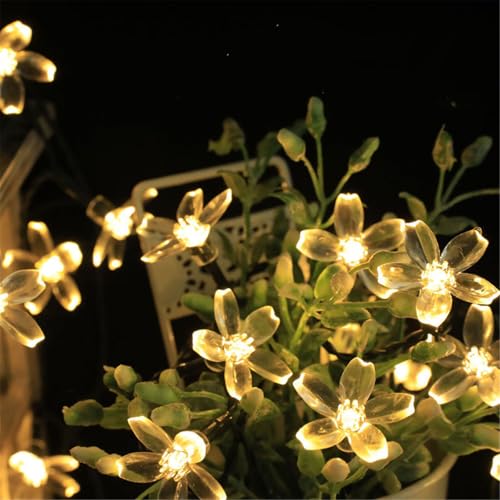 Mateju LED Lichterkette Außen Solar, Solar Lichterkette Aussen mit Fernbedienung 8 Modi Outdoor Solarlichterkette für Innen, Garten, Terrasse, Balkon, Hochzeit, Blumen (Warm,22M/200LED) von Mateju