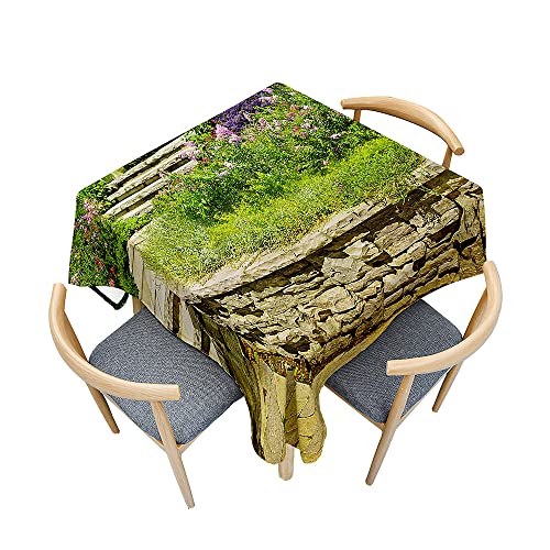 Mateju Platz Tischdecke, Abwaschbar Gartentischdecke Outdoor Indoor Tischdecke Polyester Tischdecken Tischtuch, Tisch Schutz für Geburtstag Hochzeit Festival (200x200cm,Schiefer Garten) von Mateju