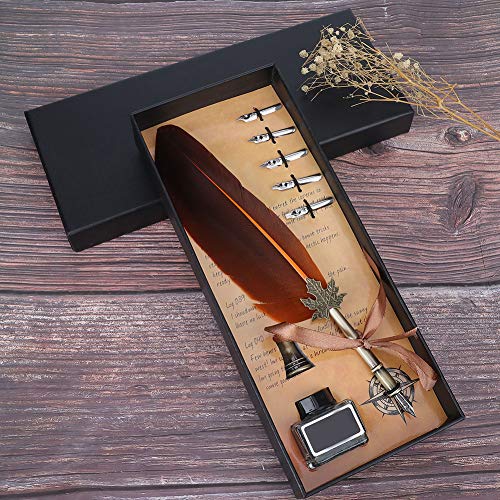 Matybobe Vintage Feather Fountain Schreiben Stift Kalligraphie Tinte Quill Dip Stift Home Decor mit Geschenkbox (Orange) von Matybobe