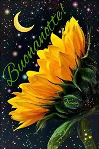 Meecaa Diamond Painting Set Full Bilder Buchstabe Mond Blume, 5D Diamant Painting Diamant Malerei mit Zubehör 30x40cm (Sonnenblume) von Meecaa