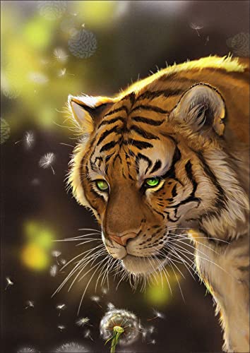 Meecaa Diamond Painting Set Full Bilder Tier Tiger König, 5D Diamant Painting Diamant Malerei mit Zubehör 30x40cm (Tiger) von Meecaa