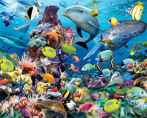 Meecaa Malen nach Zahlen Meeresleben Fisch Delfin Seestern Korallen Kit für Erwachsene Anfänger DIY Ölgemälde 40,6 x 50,8 cm (Delphin, gerahmt) von Meecaa