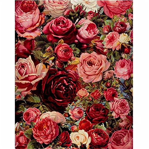Meecaa Malen nach Zahlen, Blumen-Rose, romantisches Set für Erwachsene, Anfänger, DIY-Ölgemälde, 40,6 x 50,8 cm (Rose, ohne Rahmen) von Meecaa