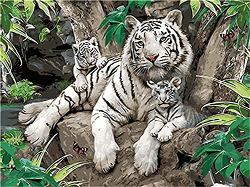 Meecaa Malen nach Zahlen Tiger Cub Kit für Erwachsene Anfänger DIY Ölgemälde 40,6 x 50,8 cm (Tiger, kein Rahmen) von Meecaa