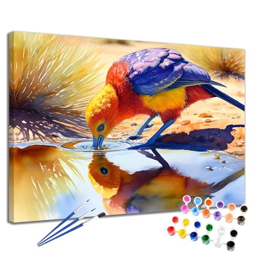 Malen Nach Zahlen Erwachsene Bird Malen Nach Zahlen Bunt Groß Format 70x90 cm Handgemalt Ölgemälde, DIY Paint by Numbers Kit 3-Pinseln und Acrylfarbe, Kreativ Bastelset Als Geschenk für Frauen 2W-44 von Meiaiao