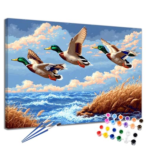 Malen Nach Zahlen Erwachsene Bird Malen Nach Zahlen Meer Groß Format 70x90 cm Handgemalt Ölgemälde, DIY Paint by Numbers Kit 3-Pinseln und Acrylfarbe, Kreativ Bastelset Als Geschenk für Frauen 2W-30 von Meiaiao