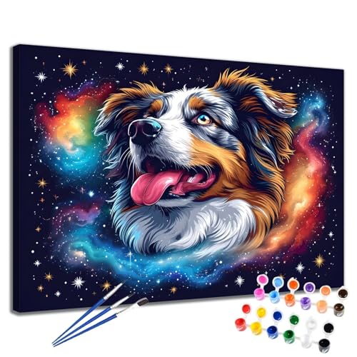 Malen Nach Zahlen Erwachsene Traum Malen Nach Zahlen Hund Groß Format 50x65 cm Handgemalt Ölgemälde, DIY Paint by Numbers Kit 3-Pinseln und Acrylfarbe, Kreativ Bastelset Als Geschenk für Frauen 2W-13 von Meiaiao