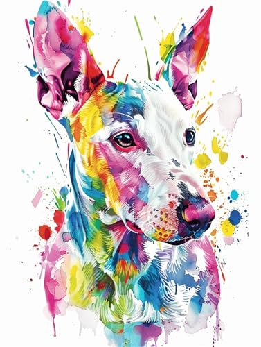 Malen nach Zahlen Bunt, Malen Nach Zahlen Erwachsene, Hund 30x40cm Paint by Numbers DIY Kreativ Bastelset Kinder Anfänger Handgemalt Ölgemälde Leinwand für Home Décor,Frauen Hobby Bastelset Dekor von Meiaiao